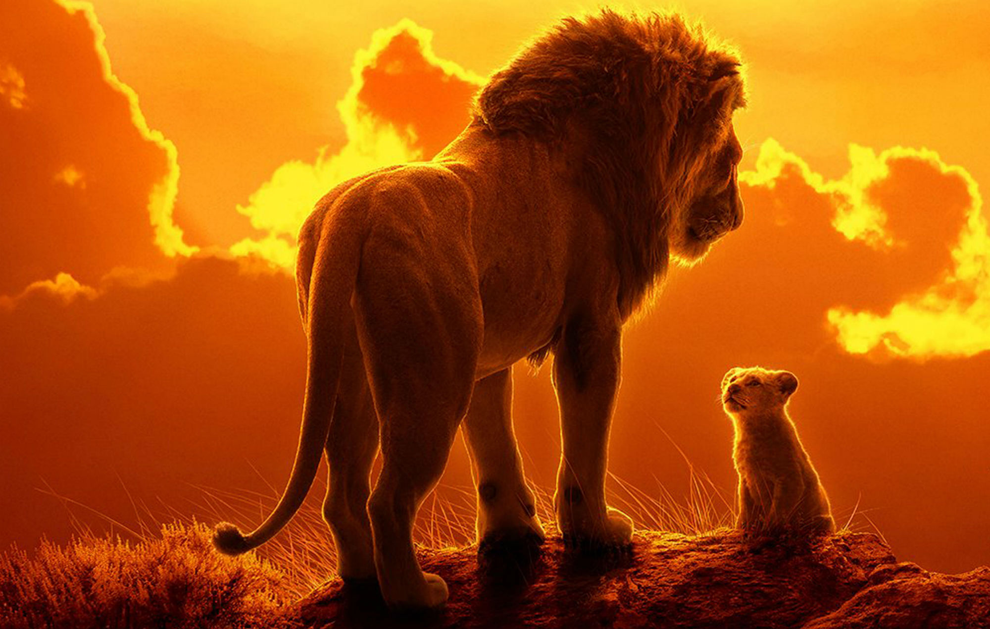 Jon Favreau quase atinge a perfeição em sua versão de “O Rei Leão”